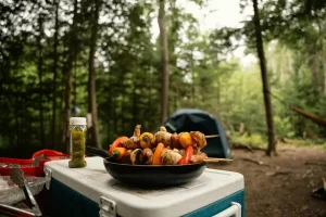 Tasty BBQ camping meal in the middle of the forest on top of a camping box.