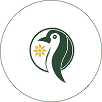 Picture of Tropical Adelie