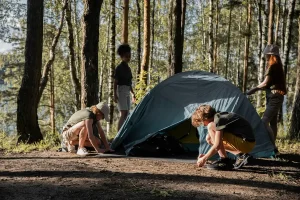 Four teenagers in outdoor clothing working together to set up a blue dome tent in a sunny forest clearing surrounded by tall pine trees.