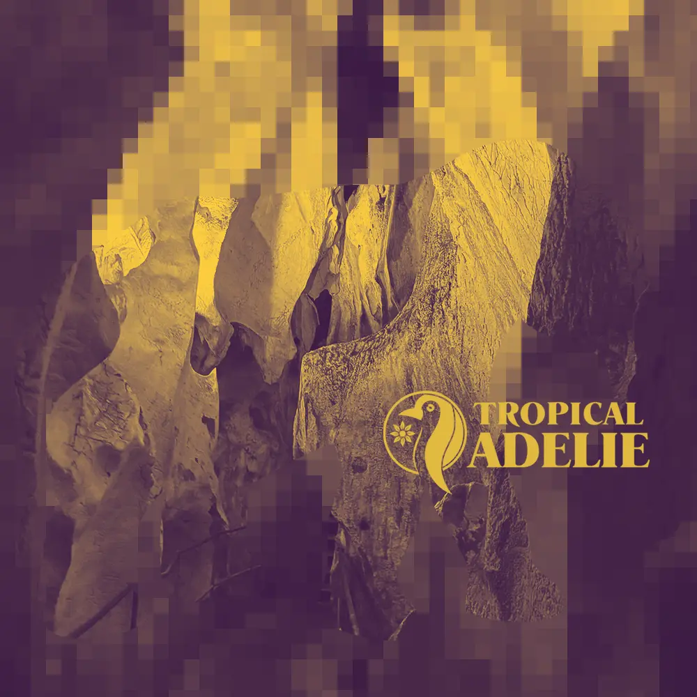 A duotone graphic image in purple and gold, featuring a stylized elephant silhouette. The interior of the elephant and parts of the background show the textured, rugged rock formations of a deep cave, like an explorer’s find. The "Tropical Adelie" logo is in the bottom right.