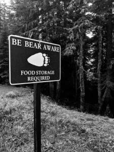 A high-contrast black and white photograph of a rectangular warning sign at the edge of a dense forest. The sign features a large graphic of a bear paw print and the text "BE BEAR AWARE" at the top, with "FOOD STORAGE REQUIRED" at the bottom. The background consists of dark, towering evergreen trees and a grassy slope.