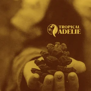 A warm, sepia-toned image of a person's hands gently holding a pinecone, symbolizing a connection with nature while camping alone as a woman, featuring the "TROPICAL ADELIE" logo in the top right.