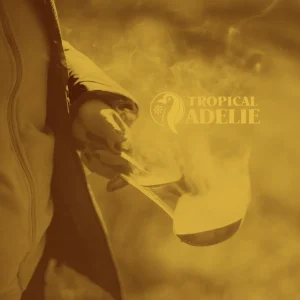 A hazy, gold-toned photograph featuring a solo camping female in a jacket on the left, holding a ladle and spoon amid thick, rising steam from a hot dish. The yellow "TROPICAL ADELIE" penguin logo and text are subtly overlaid in the upper right quadrant.