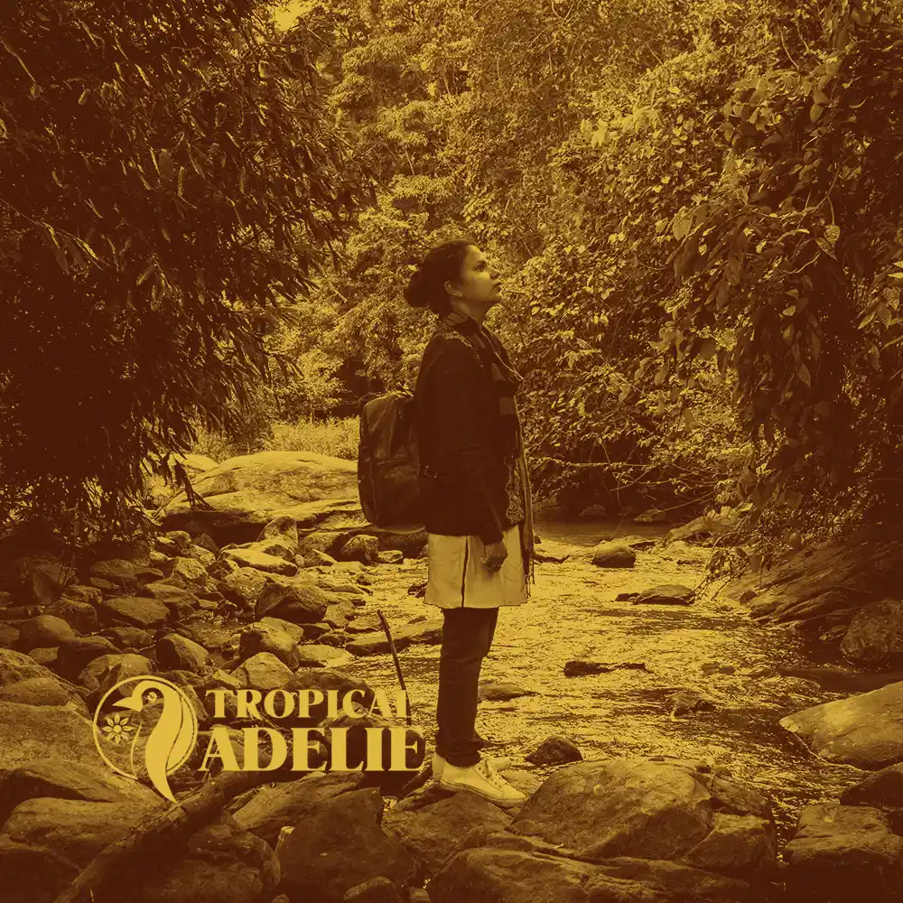 A sepia-toned landscape photo showing a woman with a bun and a backpack standing on the rocks of a shallow creek bed. She is looking up at the dense, lush forest canopy lining both sides of the stream. The yellow "TROPICAL ADELIE" penguin logo and text are located in the bottom left corner.