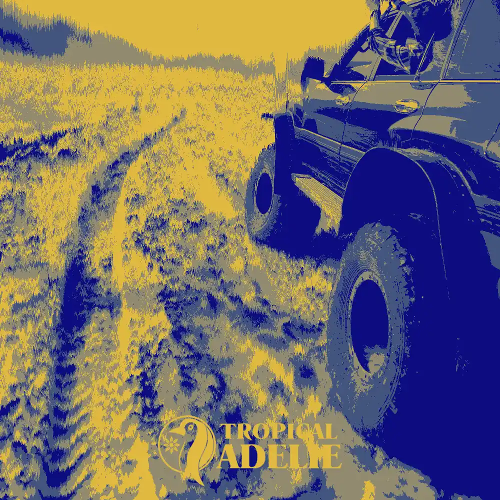 Close-up of off-road vehicle tires leaving tracks through golden grasslands, processed in a bold blue and yellow duotone travel aesthetic.