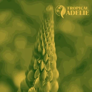 A detailed view of the tip of a flowering plant structure, rendered in a green and yellow tone with the Tropical Adelie branding.