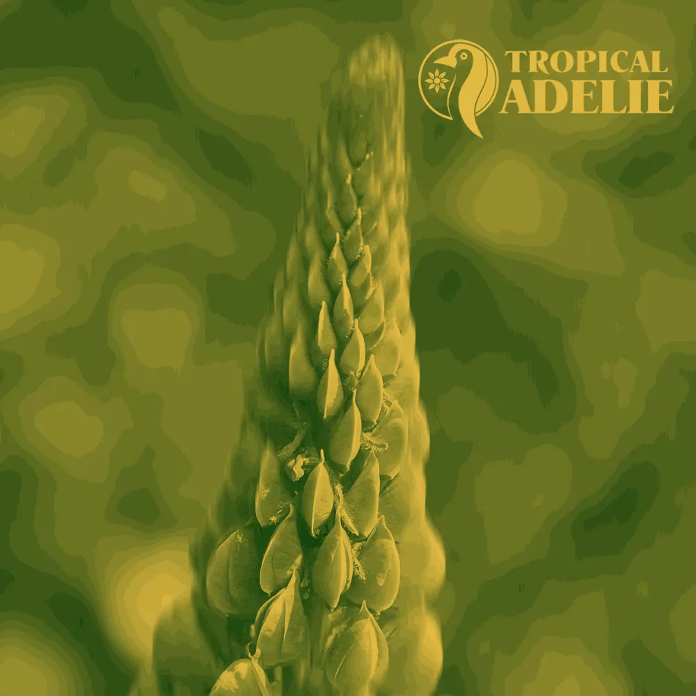 A detailed view of the tip of a flowering plant structure, rendered in a green and yellow tone with the Tropical Adelie branding.