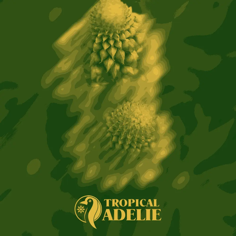 A graphic featuring two distinct, rounded plant structures paired together, showcasing the Tropical Adelie logo.