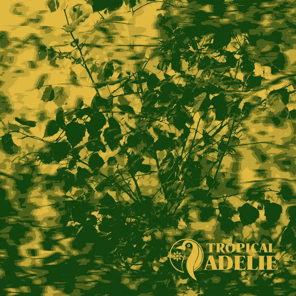 A close-up graphic of lush plant leaves with a stylized yellow and green aesthetic and the Tropical Adelie logo.