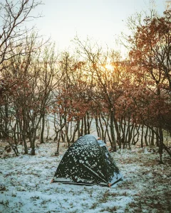 A frost-covered tent pitched in a snowy forest clearing at sunrise, illustrating the cold overnight temperatures a first-time solo camper may face.