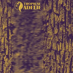 Blurry tree bark skin texture, nature pattern design element for Tropical Adelie