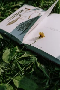 Nature journal book on a grassy field for outdoor nature observation