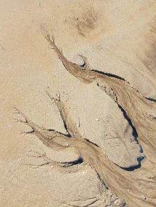 Wet sand drainage channels branching across a beach, similar to the smooth, water-carved patches described as a warning sign of quicksand.