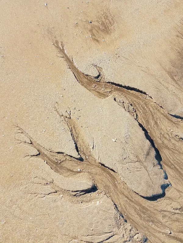 Wet sand drainage channels branching across a beach, similar to the smooth, water-carved patches described as a warning sign of quicksand.