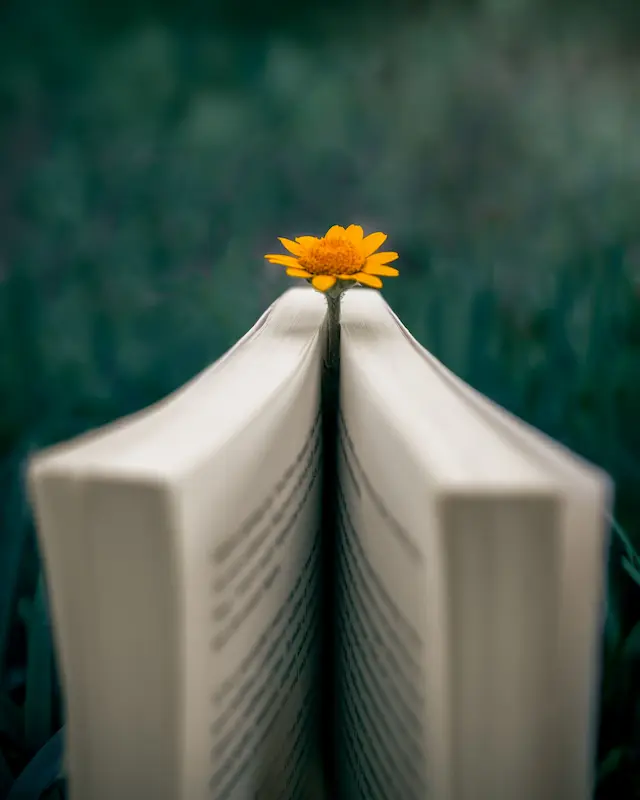 Open book in nature after stepping outside for a relaxing outdoor break