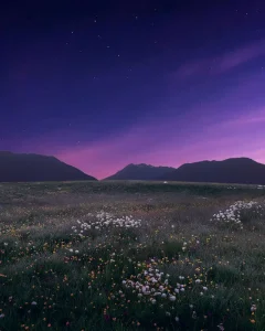 Purple night sky over a wildflower meadow, a peaceful scene despite common camping noises at night